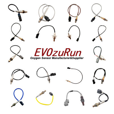  Zirconia Oxygen Sensor O2S-FR-T2-18BM-C for Combustion Control System